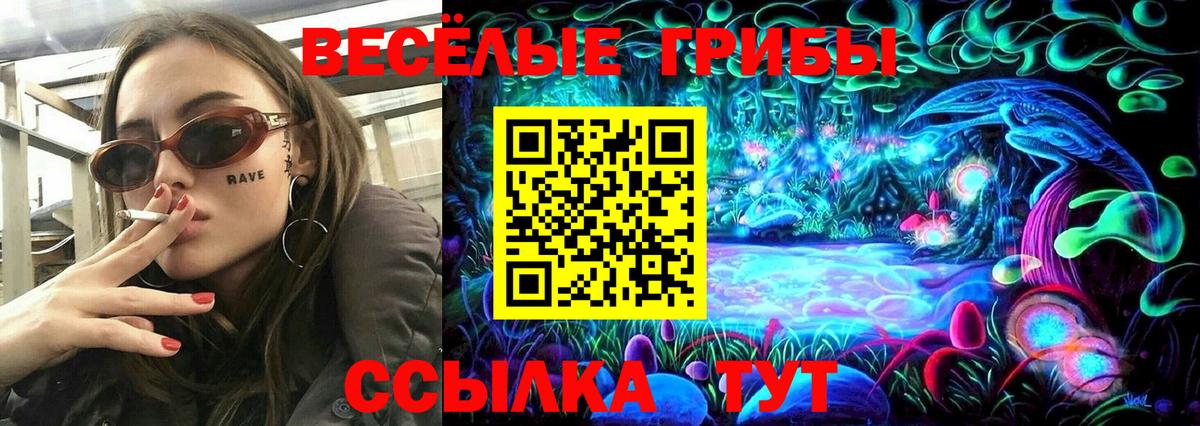 Галлюциногенные грибы Psilocybine cubensis  Вход с VPN  Каменск-Шахтинский 