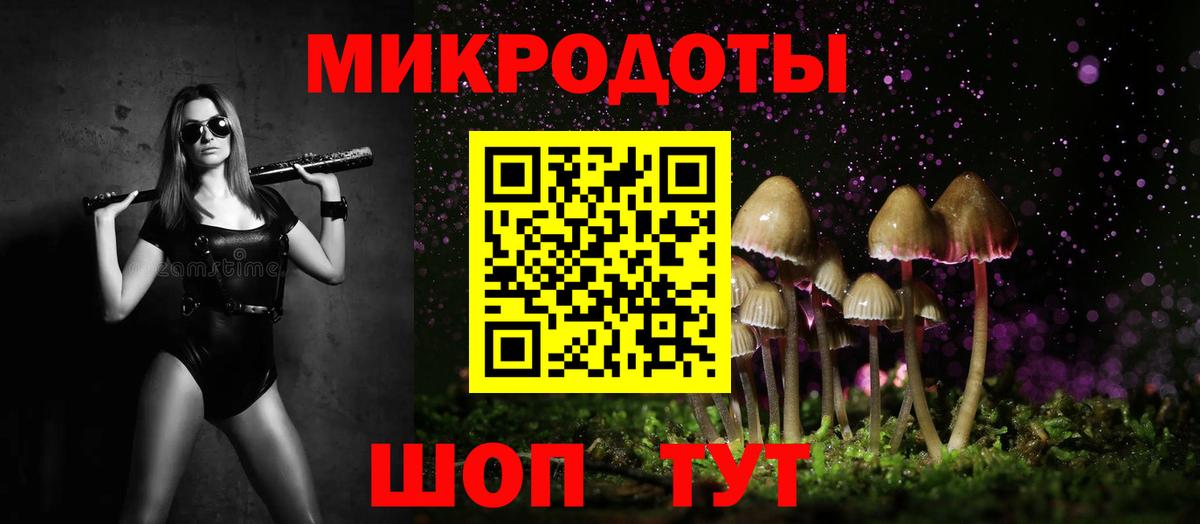 Галлюциногенные грибы Psilocybe Каменск-Шахтинский